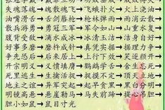 简单的成语接龙,智慧传承，语言魅力