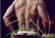 男子上健身教练,打破传统观念，引领健康生活新潮流