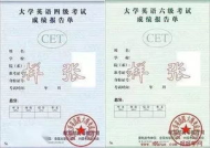 证书小姐姐,揭秘证书界的魅力与奥秘