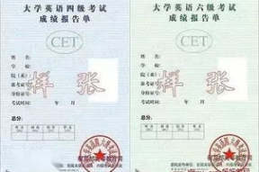 证书小姐姐,揭秘证书界的魅力与奥秘