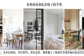 奈特小姐姐,揭秘网络红人的魅力与影响力