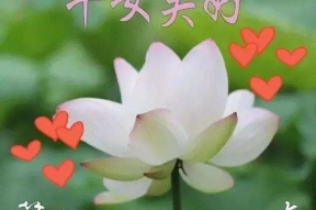 一句美好的祝福语,美好祝福伴你每一天”