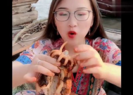 乌贼小姐姐,探寻深海中的神秘魅力