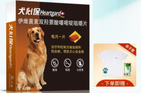 犬心保,宠物驱虫新选择，守护狗狗健康之道