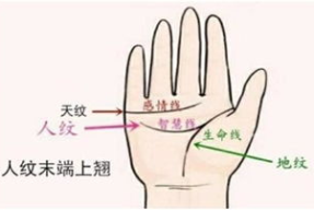 小姐姐手相,命运线与爱情线的神秘解读