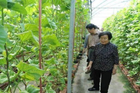 娱乐吃瓜场地图片真实,一场视觉与味蕾的双重盛宴