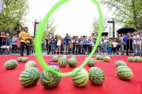 吃瓜嗨娱乐,轻松赚翻天，揭秘热门吃瓜项目背后的商机