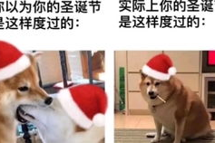 搞笑照片沙雕图集,沙雕搞笑照片集锦，欢乐瞬间尽收眼底