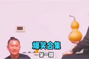 讲笑话视频大全 爆笑,爆笑瞬间尽收眼底