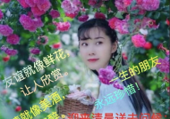 美女早上好图片,精选美女早上好图片集锦”