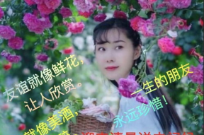 美女早上好图片,精选美女早上好图片集锦”