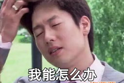 渣男壁纸高清全屏女,捕捉都市女性的迷人风采
